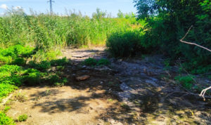 Росприроднадзор оценит причинённый ущерб почве после обрушения коллектора в Копейске