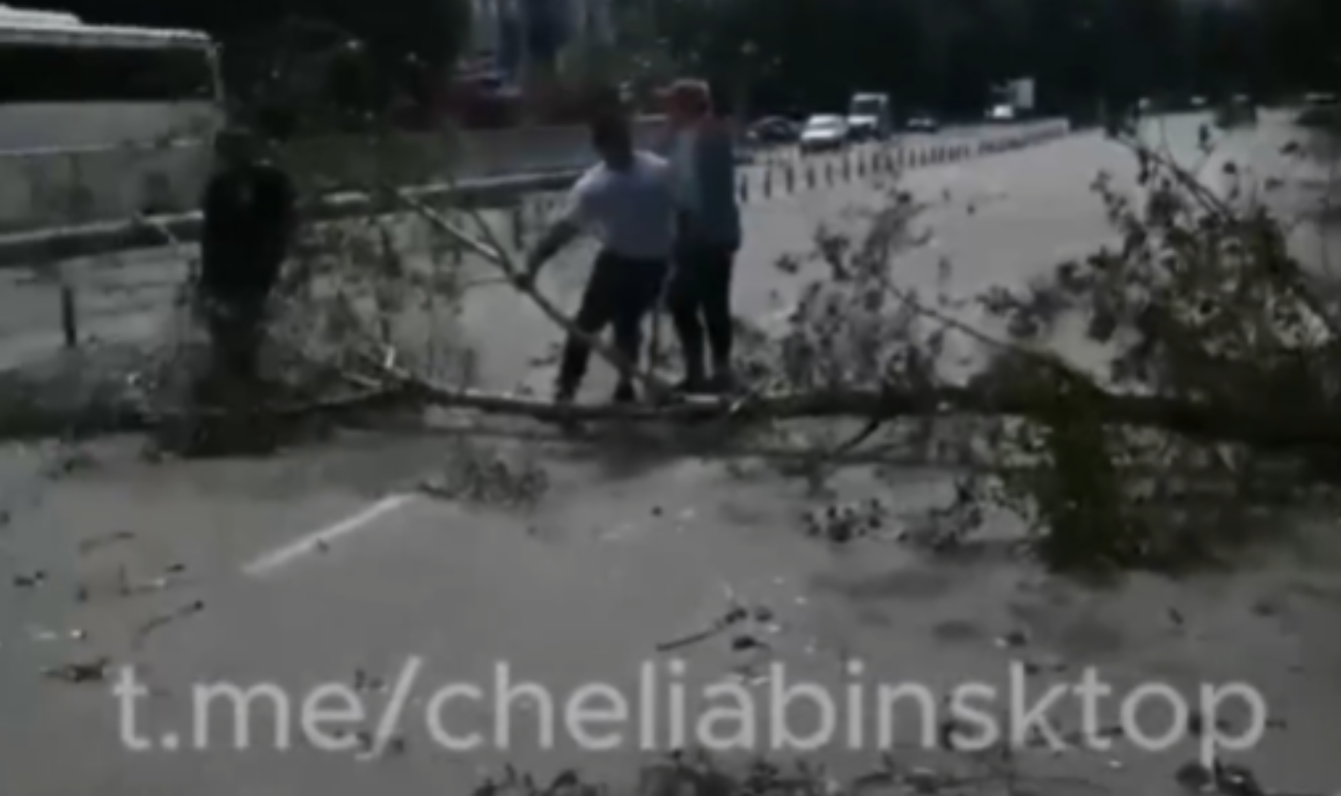 «На такси ехали, на нас дерево упало!»