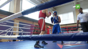 В Коркино прошли областные соревнования по боксу среди юношей