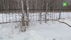 В СНТ «Дубровский» мужчина едва не умер из-за натянутой проволоки на дороге