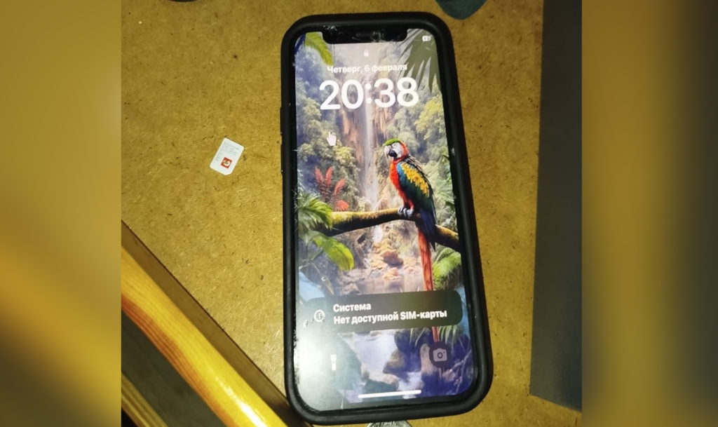 Мигрант с регистрацией и официальной работой решил украсть телефон челябинца