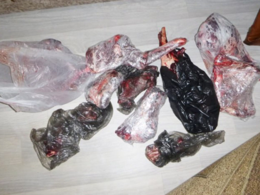 Любовь к охоте может сделать из южноуральца уголовника