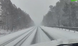 На Южном Урале вторые сутки идет снегопад