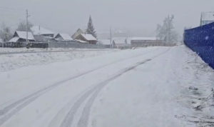 На Южном Урале пошёл снег