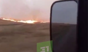 В Карталах потушили ландшафтный пожар