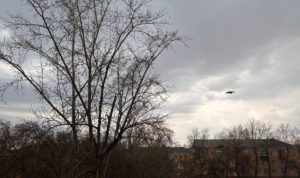 Вопреки прогнозам Челябинск накрывает первым весенним ливнем