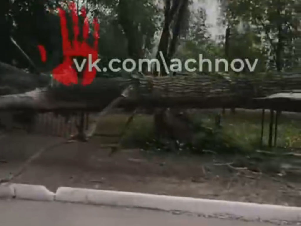 В Челябинске детей чуть не придавило огромным деревом 