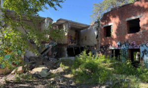 Арбитражный суд принял иск администрации с требованием снести заброшки в городском бору