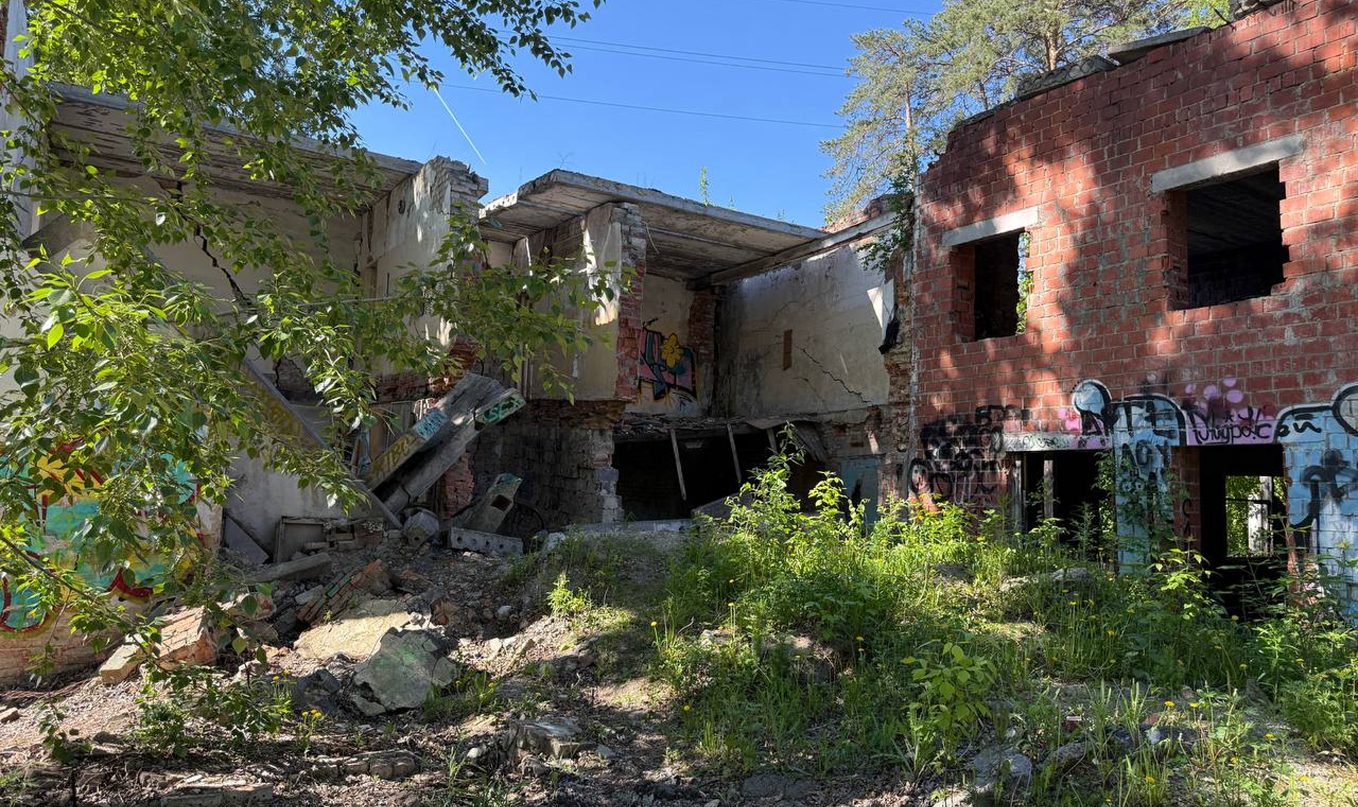 Арбитражный суд принял иск администрации с требованием снести заброшки в городском бору