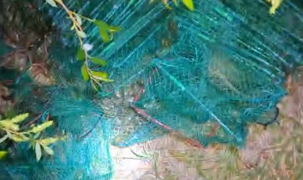 Южноуралец порыбачил на озере Смолино и теперь может стать уголовником