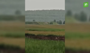 Жители посёлка Роза пожаловались на горы куриного помета в полях