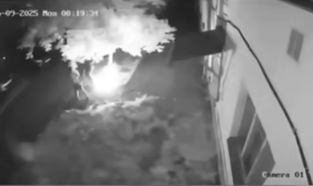 А если бы спалили дерево или, чего хуже, жилой дом?!