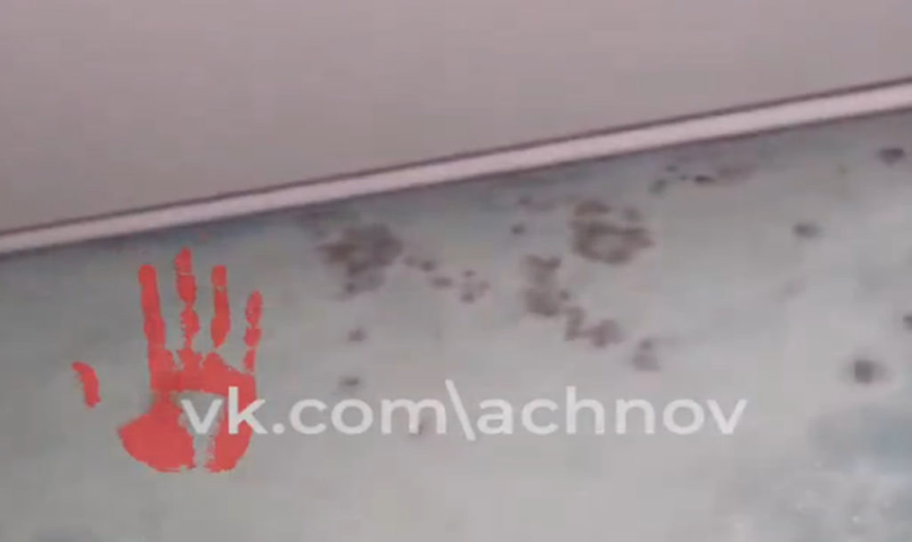 Грибком зарастает одна из челябинских квартир