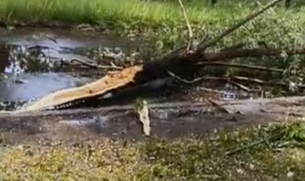 В Курчатовском районе Челябинска бушевала непогода