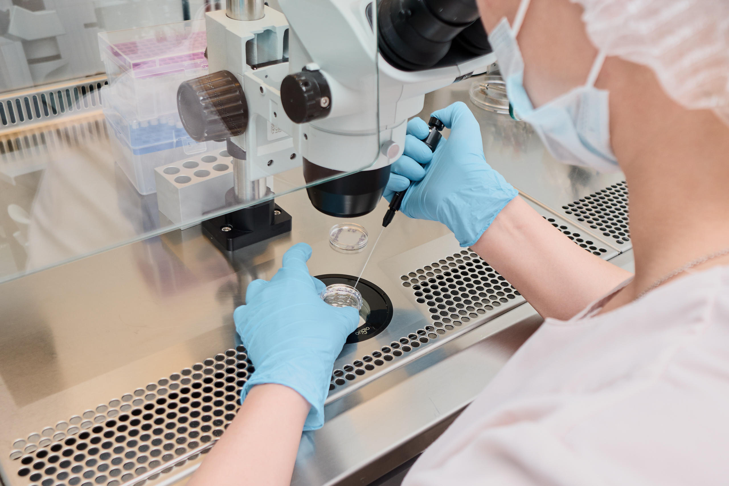 Работа с генетическим материалом