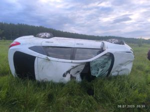 лось стал виновником смертельного ДТП