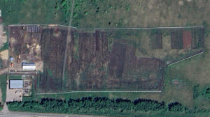 Территория МБУ "Горзеленхоз"