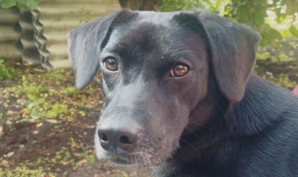 Она не пропала, а ее убили?!