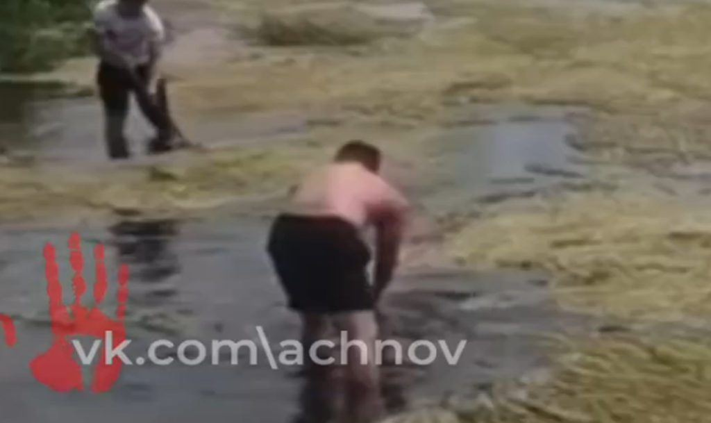 "Чебаркульскую птицу" уличили в нарушении закона об охране окружающей среды