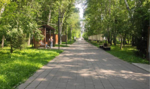 В парке «Металлург» временно перекроют центральную аллею из-за ремонта