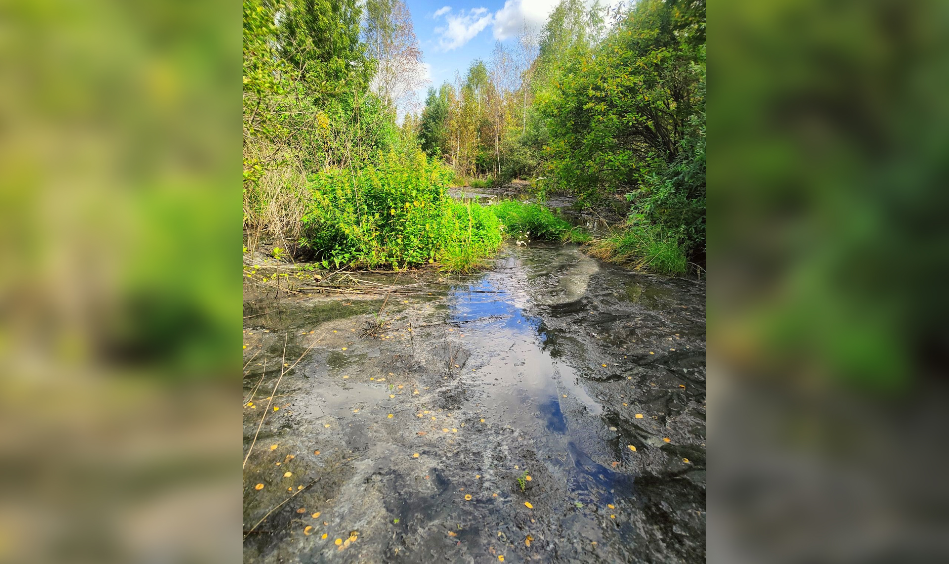 Под Озерском произошёл канализационный потоп