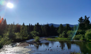 река Юрюзань обмелела до критического уровня