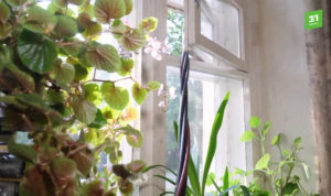 Жители Ленинского района остались без стабильного электричества