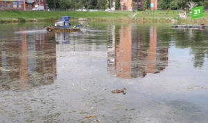 Пруд в Ленинском районе начали генералить в конце августа