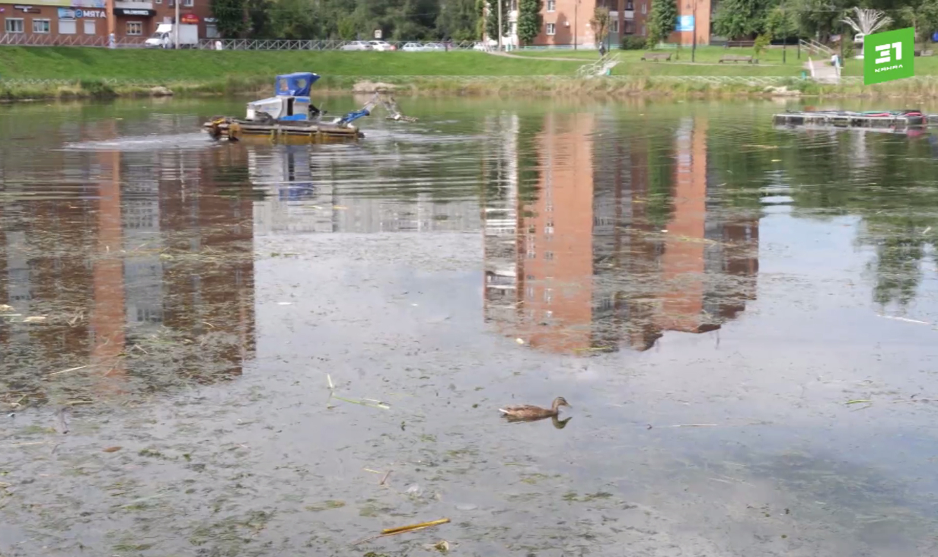 Пруд в Ленинском районе начали генералить в конце августа