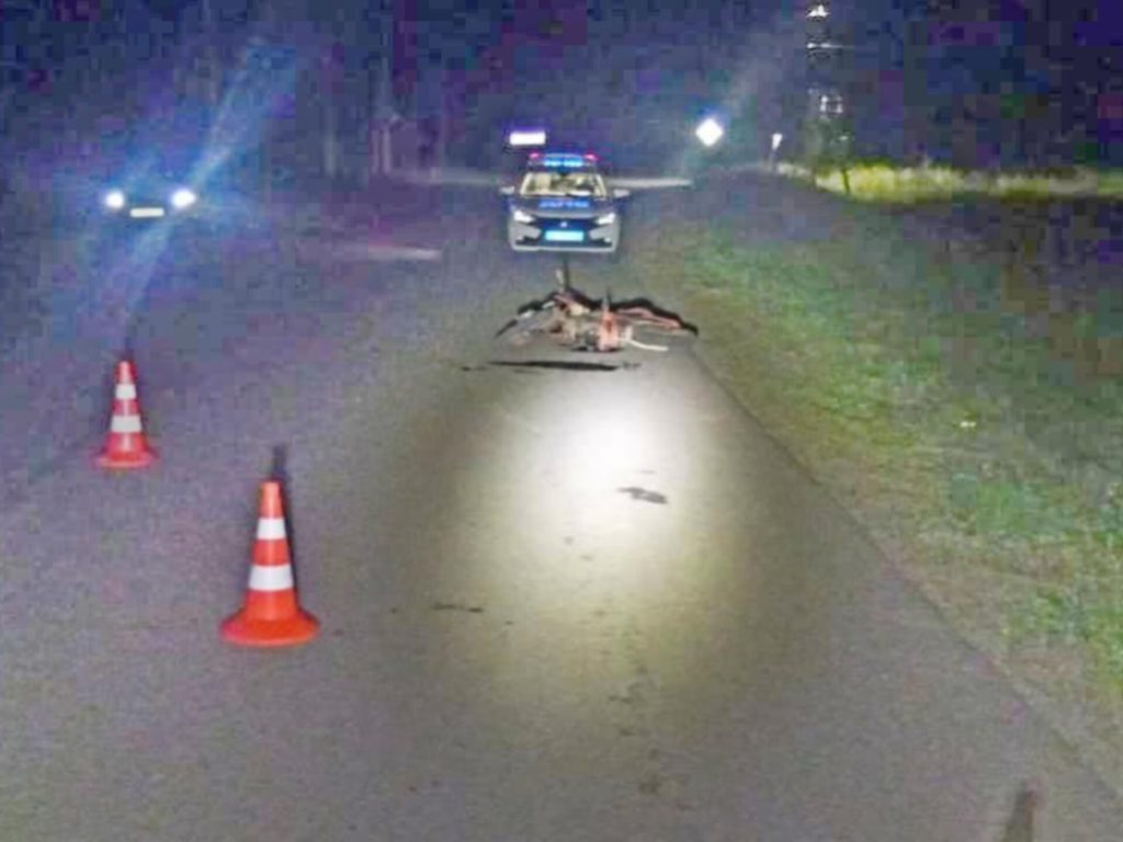 Опасные игрушки: несовершеннолетний мотоциклист сбил двух пешеходов