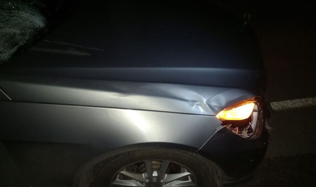 "Мерседес" влетел в лошадь!