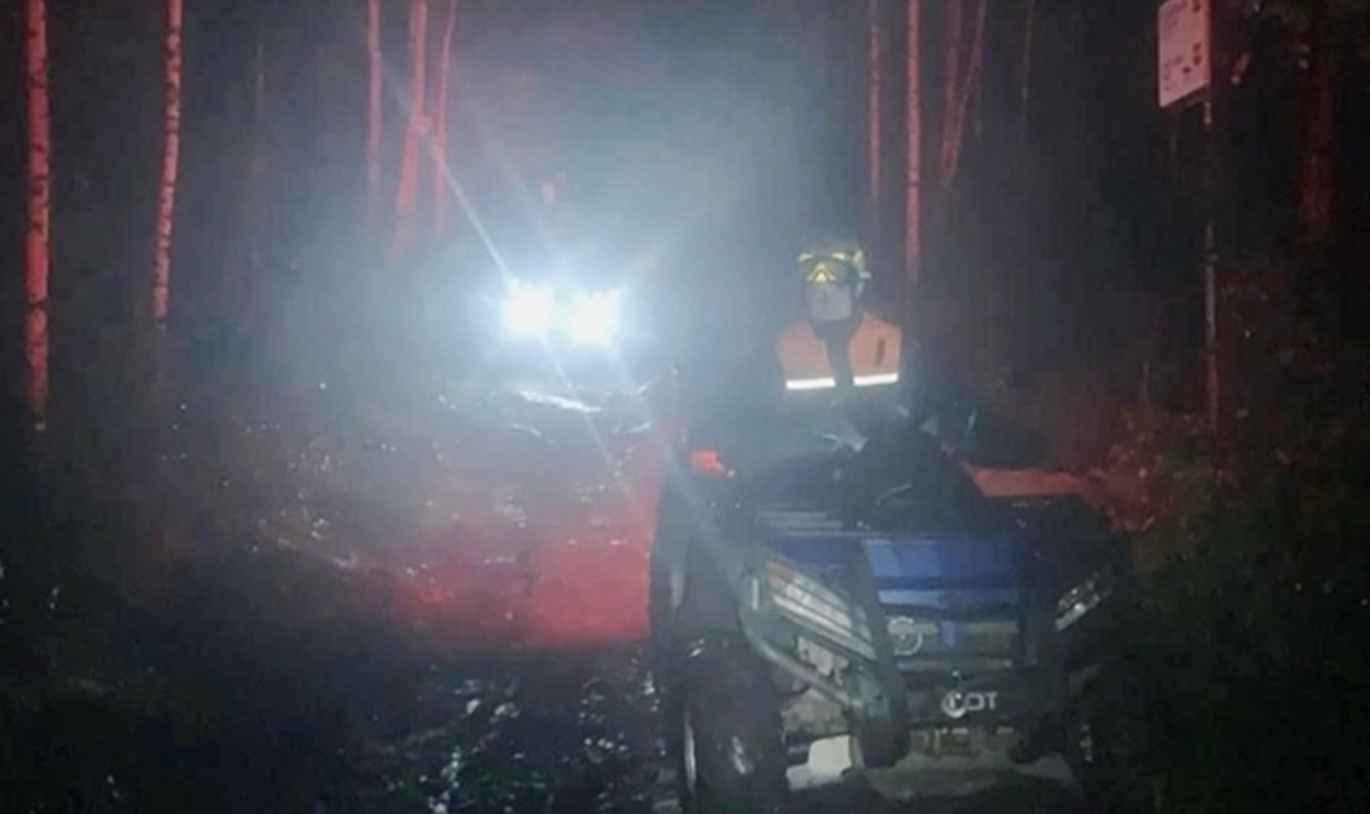 Потеряла ориентир и плутала по лесу всю ночь!