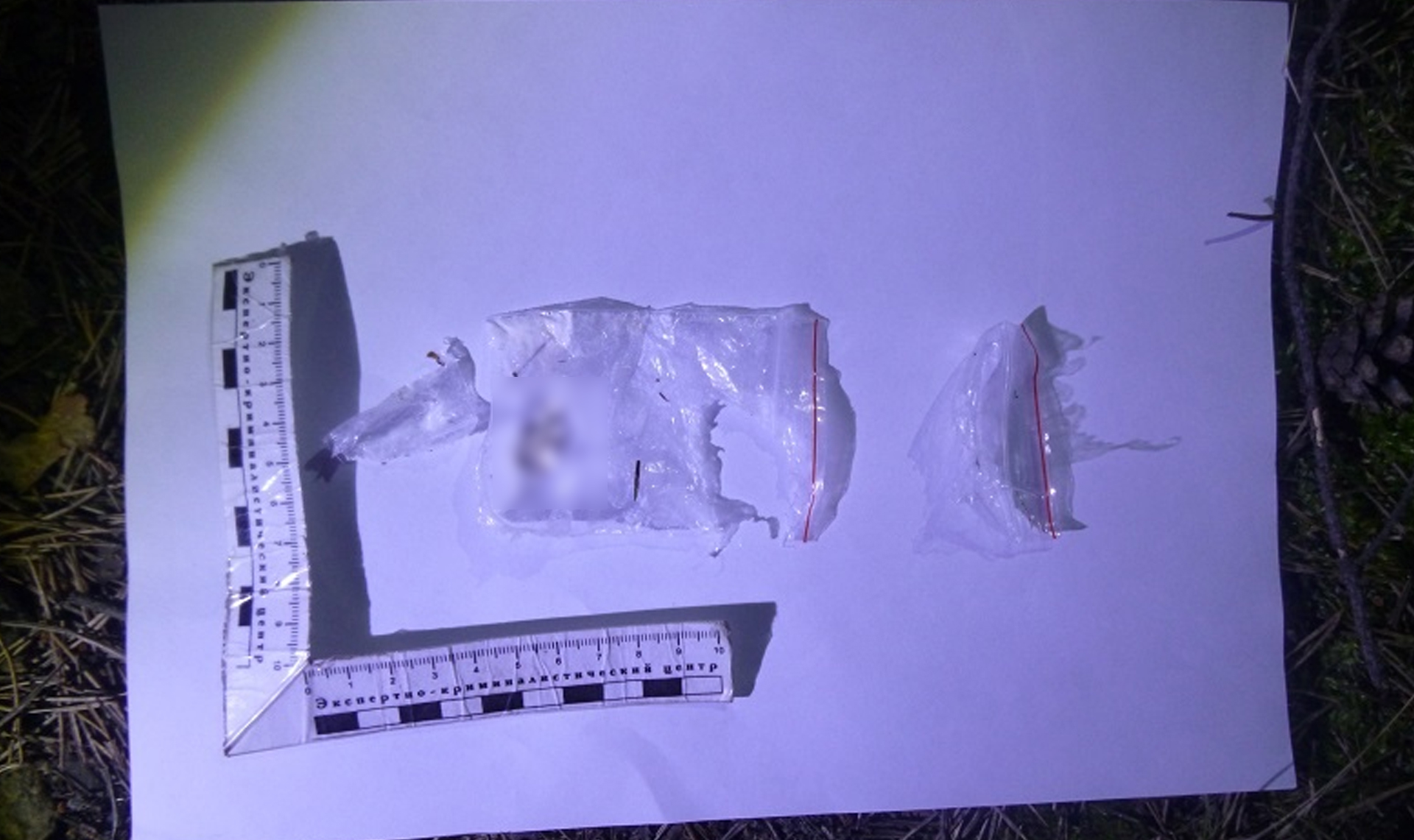 Дилеры или наркоманы? В Кыштыме поймали троих человек с наркотиками