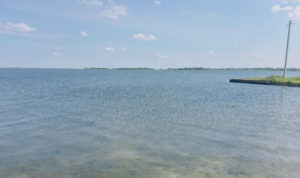 Экологи обследуют озеро Второе после бунта жителей из-за возможного строительства нового ЖК