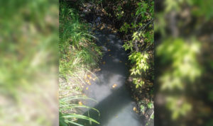 Челябинцы возмущены стихийной свалкой у «хитрого мостика» в Металлургическом районе