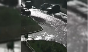 Мощный фонтан образовался на улице Кожевникова