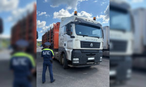 В Ашинском районе на трассе М-5 задержали подозрительные фуры, груженые древесиной