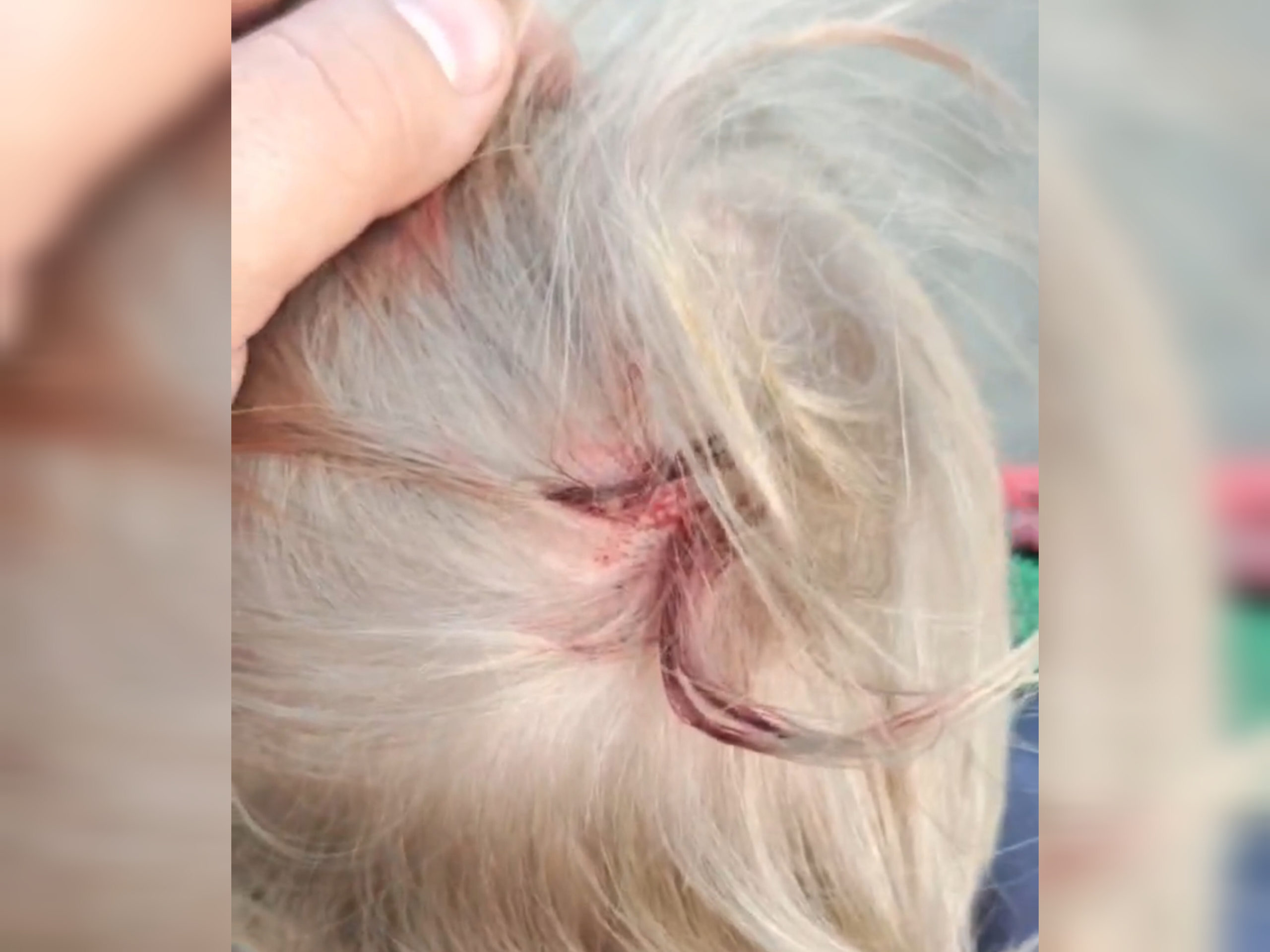 В Миассе прокуратура проверит площадку, на которой маленький ребенок разбил голову 