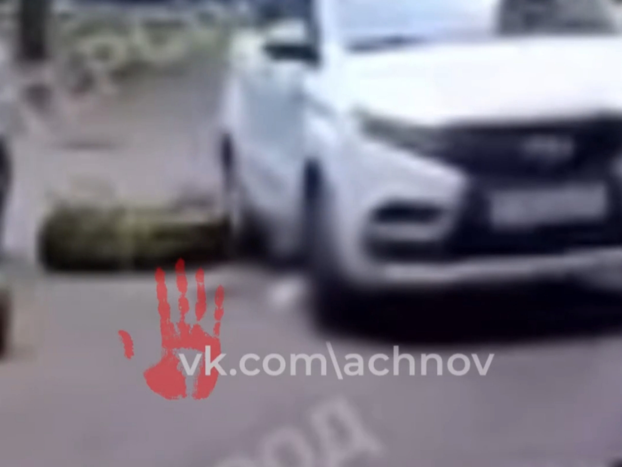 Проехала ровно между мордой и телом? В Магнитогорске кошка билась в конвульсиях после того, как ей перебило кости колесом внедорожника