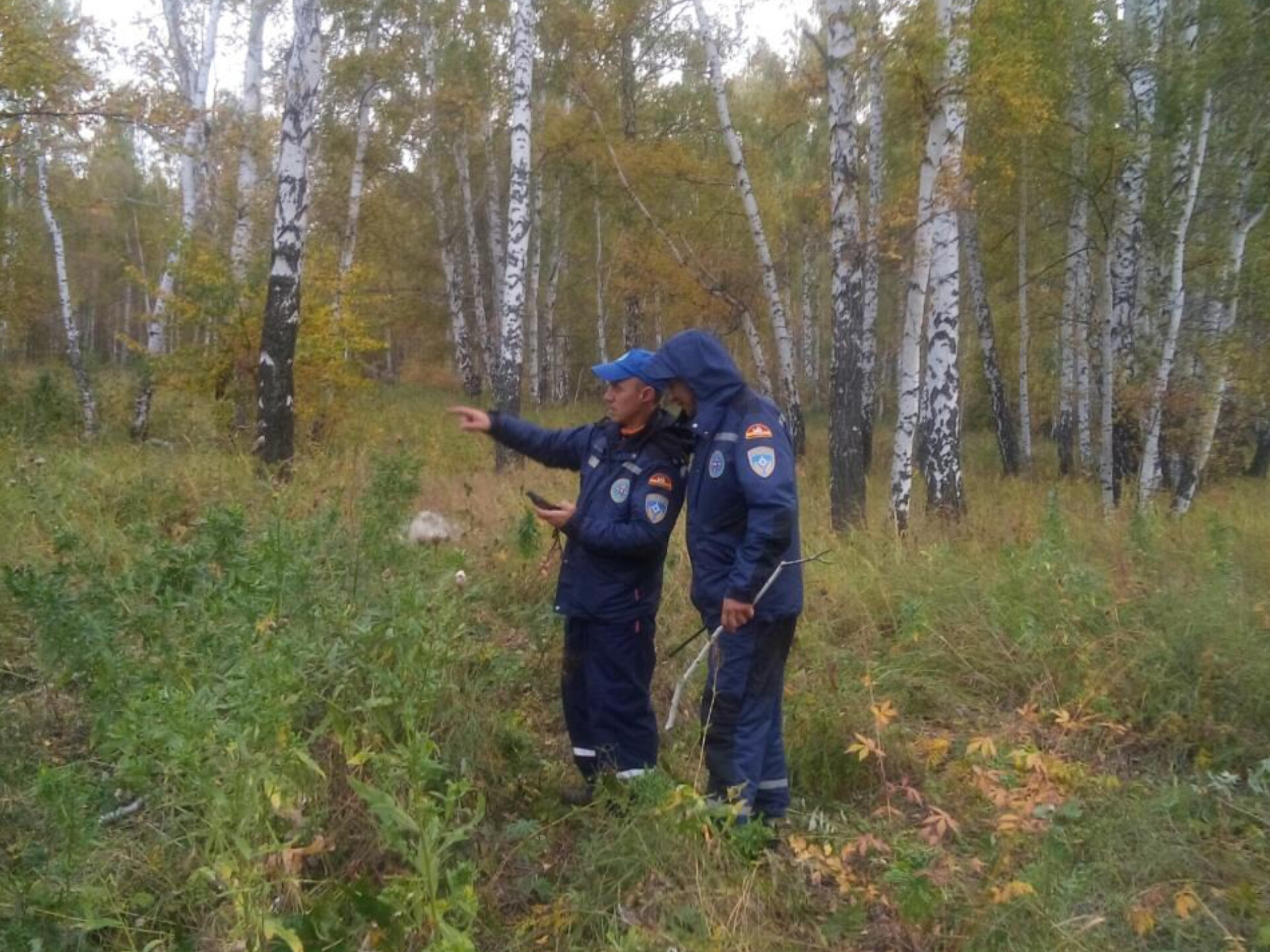 Разошлись по разным направлениям и потерялись! Спасатели помогли выбраться из леса семье грибников 