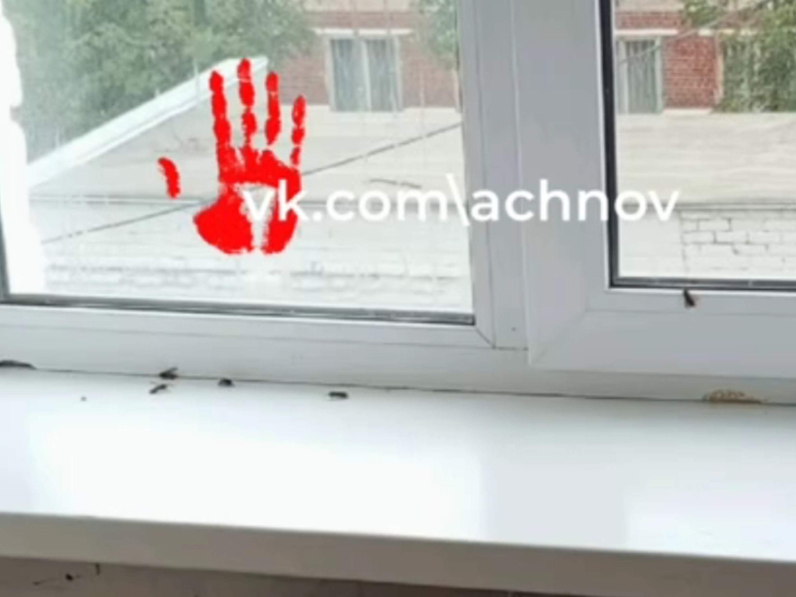 Осы атаковали школьников! Ученики пожаловались на обилие насекомых в учебном заведении