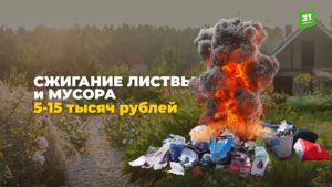 Штрафы для дачников