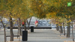 Аллея завода