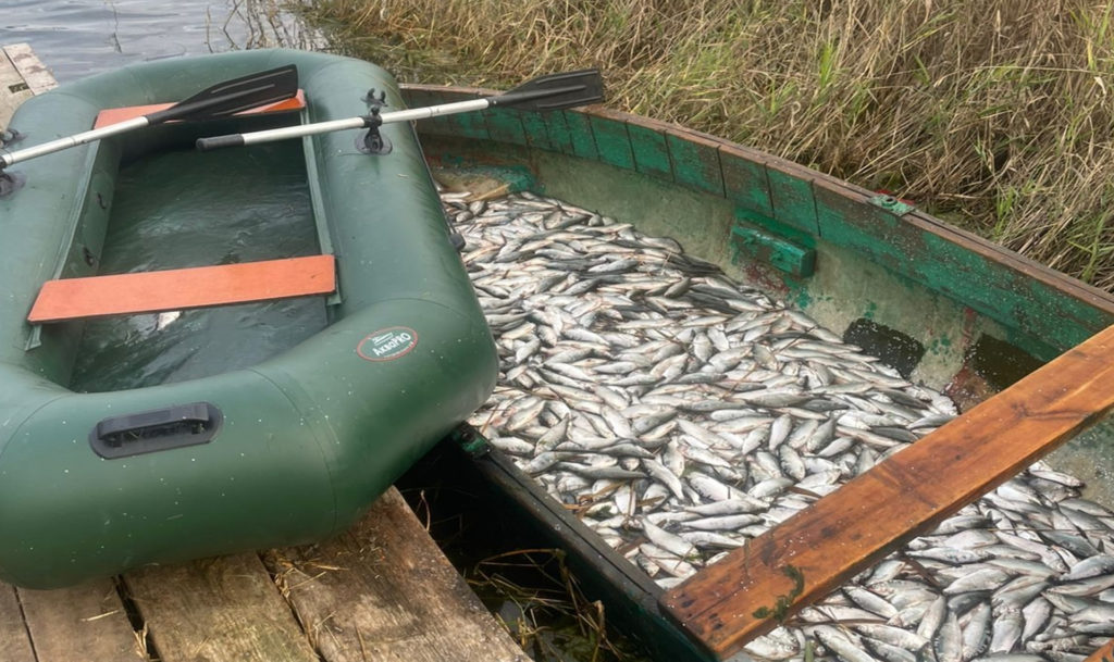 В Увельском районе задержали группу из шести человек, которые незаконно ловили пелядь на озере Горькое