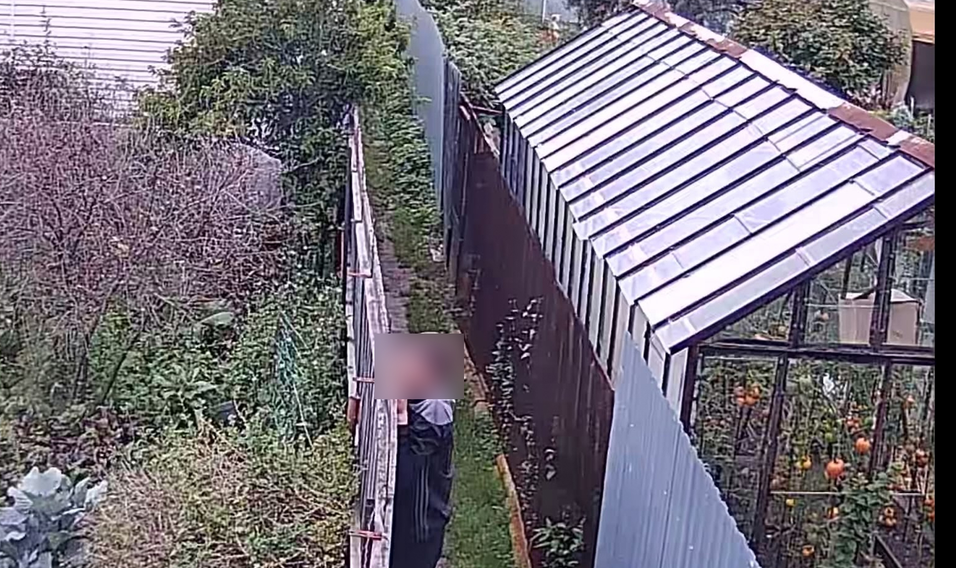 В Озерске завелся мужчина, который заглядывает за чужие заборы