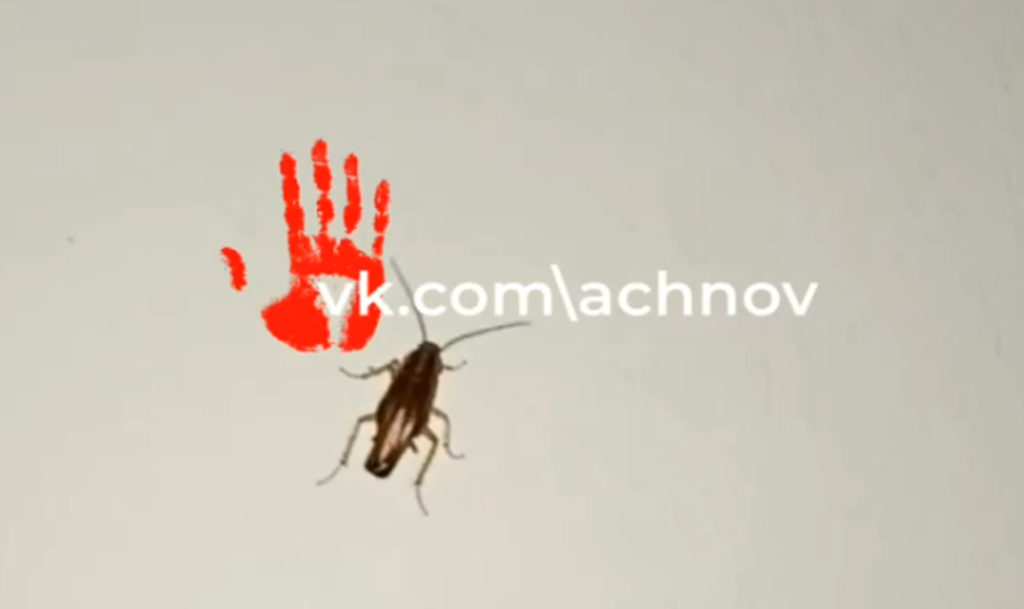 В отделении травматологии и ортопедии города Челябинск ползают тараканы