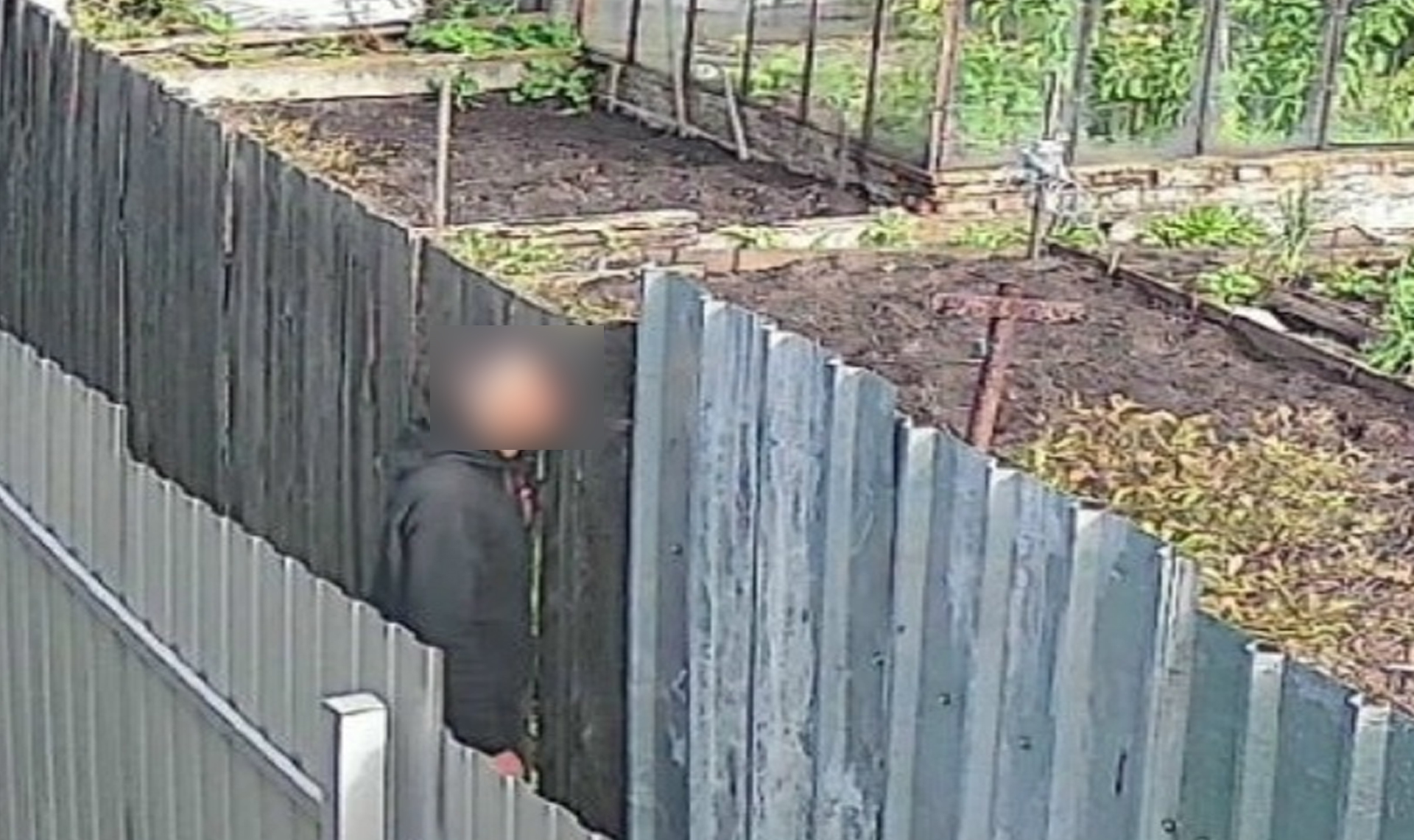 В Озерске завелся мужчина, который заглядывает за чужие заборы