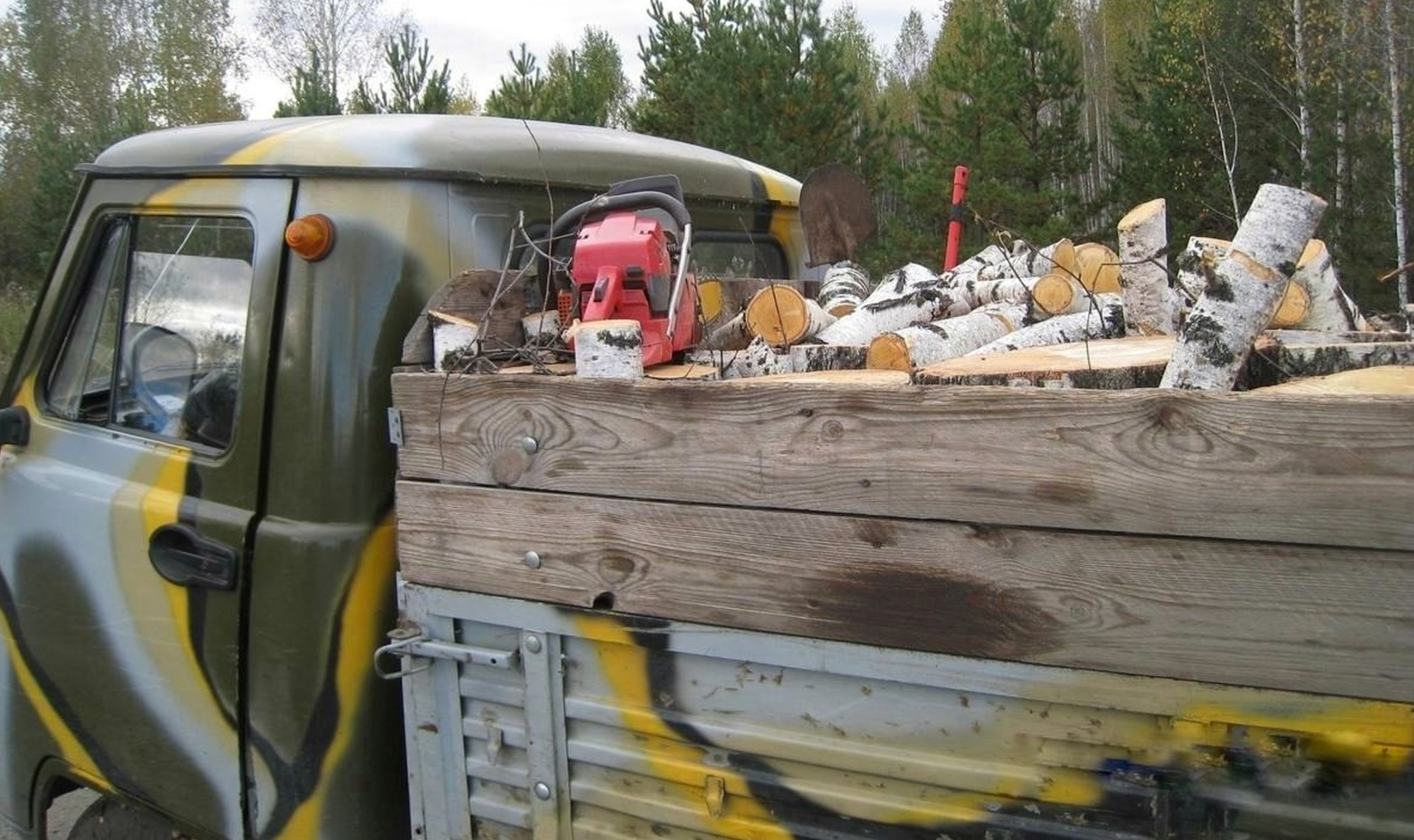 Документов у водителя не оказалось! Машину полную дров засекли в Харлушевском заказнике