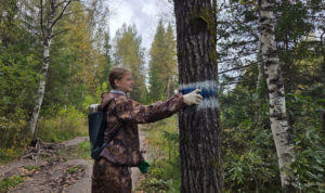 На Таганае привели в порядок туристические тропы