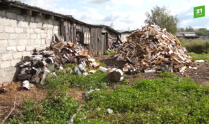 Коммерсанты скупили делянки вокруг деревни Чишма Сосновского района